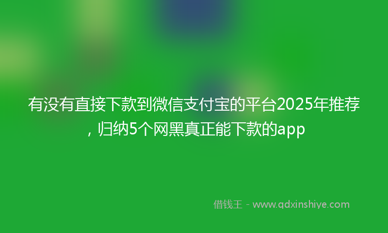 有没有直接下款到微信支付宝的平台2025年推荐，归纳5个网黑真正能下款的app