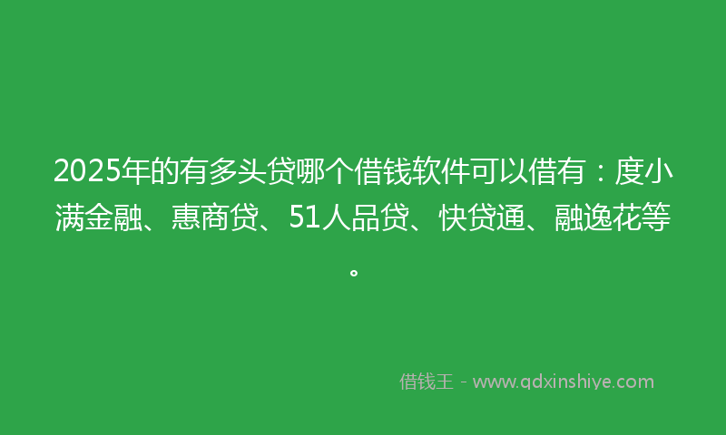 2025年的有多头贷哪个借钱软件可以借有：度小满金融、惠商贷、51人品贷、快贷通、融逸花等。