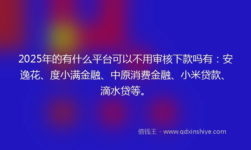 2025年的有什么平台可以不用审核下款吗有：安逸花、度小满金融、中原消费金融、小米贷款、滴水贷等。