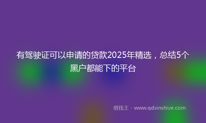有驾驶证可以申请的贷款2025年精选，总结5个黑户都能下的平台
