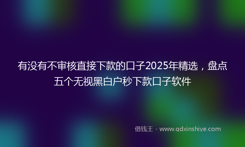 有没有不审核直接下款的口子2025年精选,盘点五个无视黑白户秒下款口子软件
