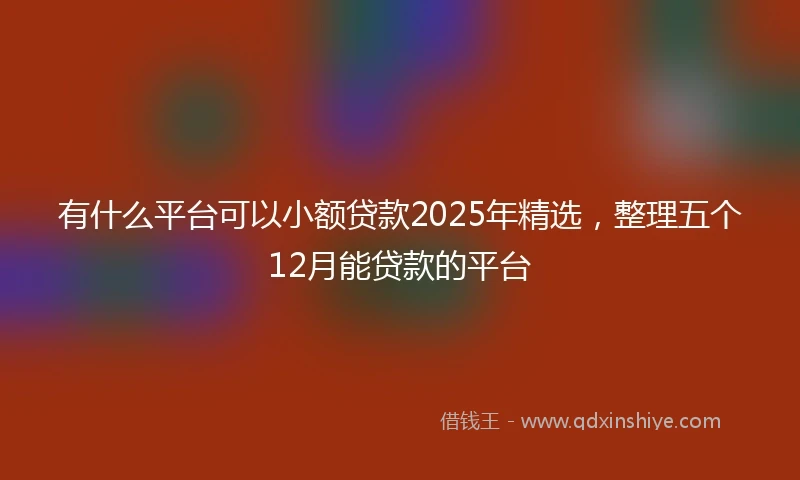 有什么平台可以小额贷款2025年精选，整理五个12月能贷款的平台