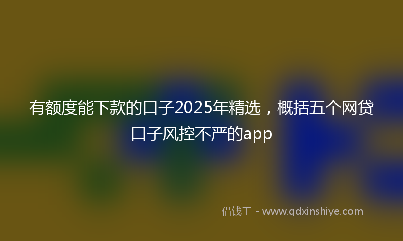有额度能下款的口子2025年精选，概括五个网贷口子风控不严的app