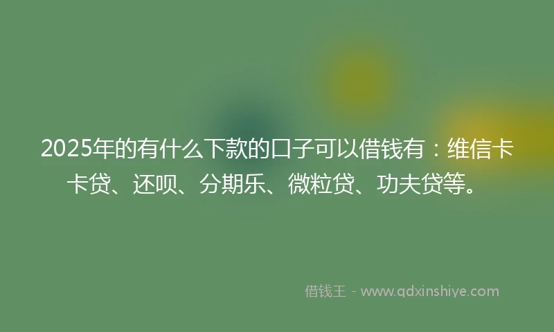 2025年的有什么下款的口子可以借钱有：维信卡卡贷、还呗、分期乐、微粒贷、功夫贷等。