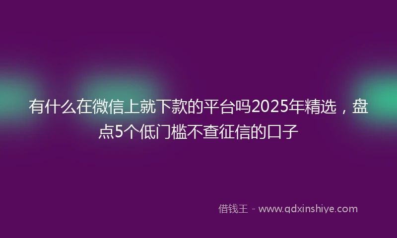 有什么在微信上就下款的平台吗2025年精选，盘点5个低门槛不查征信的口子