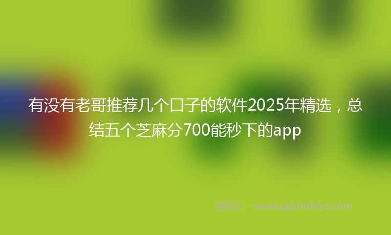 有没有老哥推荐几个口子的软件2025年精选，总结五个芝麻分700能秒下的app