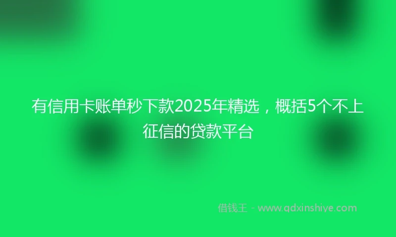 有信用卡账单秒下款2025年精选，概括5个不上征信的贷款平台