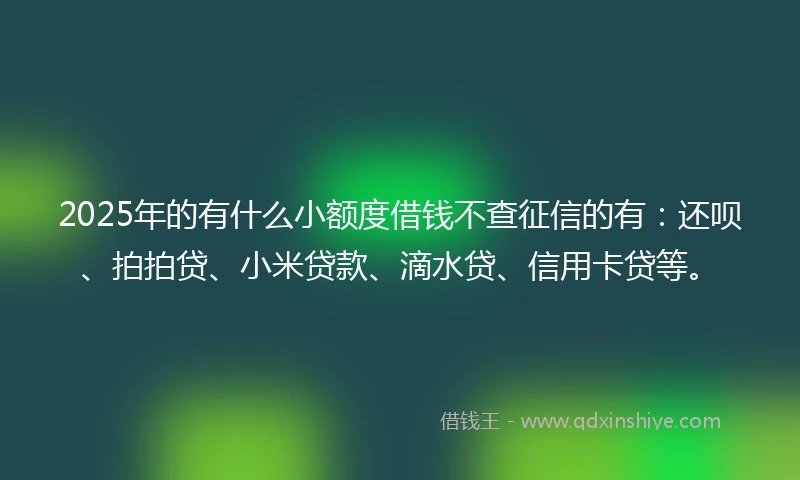 2025年的有什么小额度借钱不查征信的有：还呗、拍拍贷、小米贷款、滴水贷、信用卡贷等。