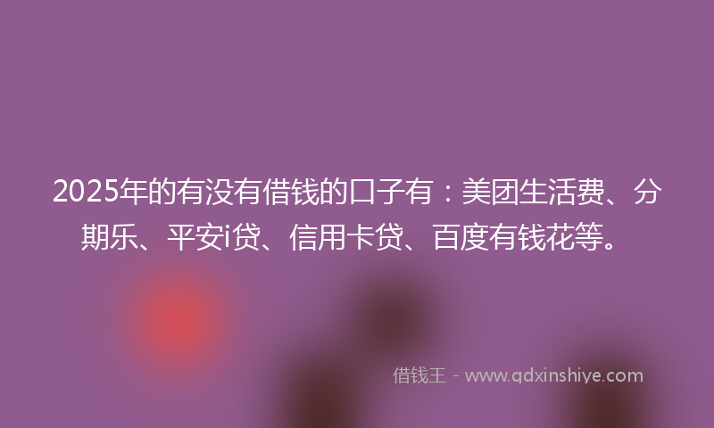 2025年的有没有借钱的口子有：美团生活费、分期乐、平安i贷、信用卡贷、百度有钱花等。