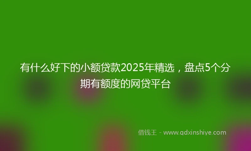有什么好下的小额贷款2025年精选，盘点5个分期有额度的网贷平台