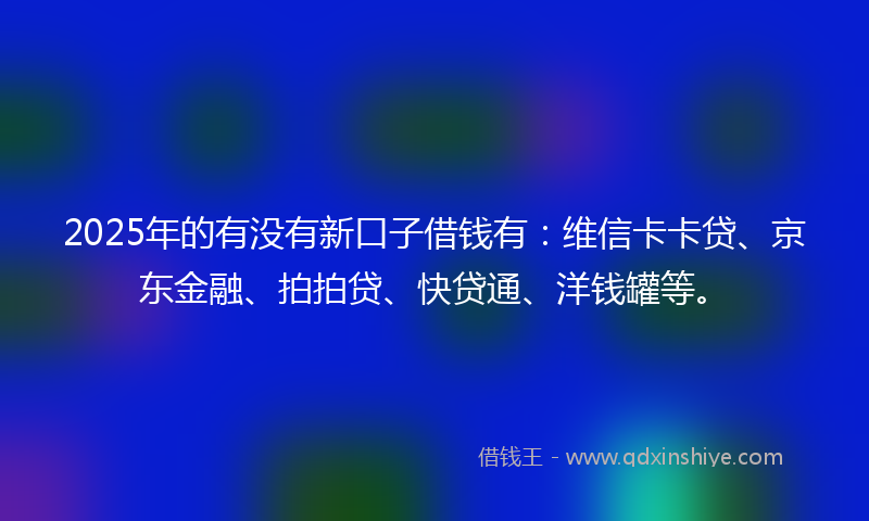 2025年的有没有新口子借钱有：维信卡卡贷、京东金融、拍拍贷、快贷通、洋钱罐等。