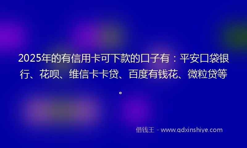 2025年的有信用卡可下款的口子有：平安口袋银行、花呗、维信卡卡贷、百度有钱花、微粒贷等。