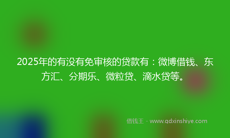2025年的有没有免审核的贷款有:微博借钱、东方汇、分期乐、微粒贷、滴水贷等。