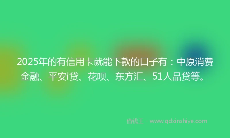 2025年的有信用卡就能下款的口子有：中原消费金融、平安i贷、花呗、东方汇、51人品贷等。