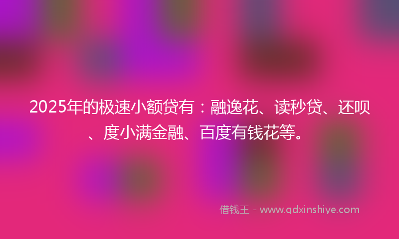 2025年的极速小额贷有：融逸花、读秒贷、还呗、度小满金融、百度有钱花等。