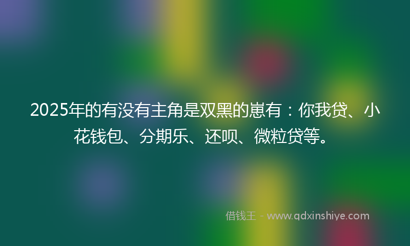 2025年的有没有主角是双黑的崽有：你我贷、小花钱包、分期乐、还呗、微粒贷等。
