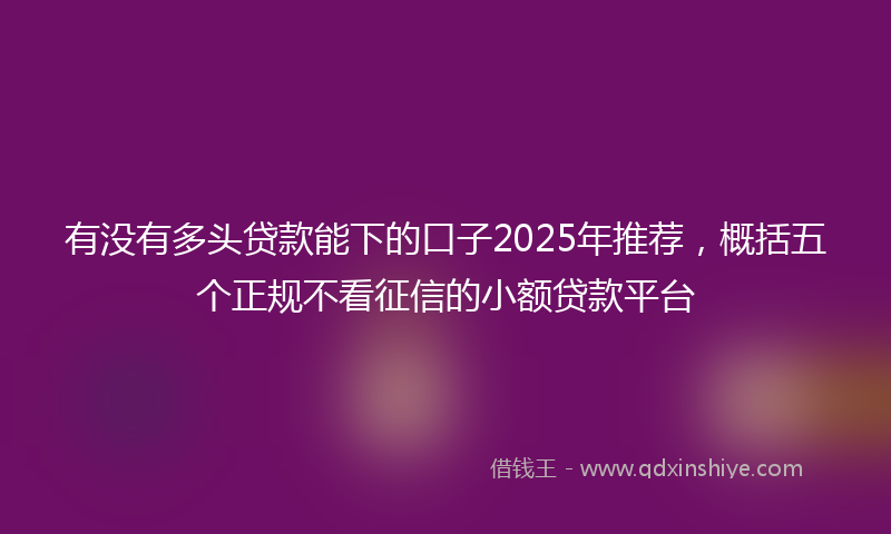 有没有多头贷款能下的口子2025年推荐，概括五个正规不看征信的小额贷款平台