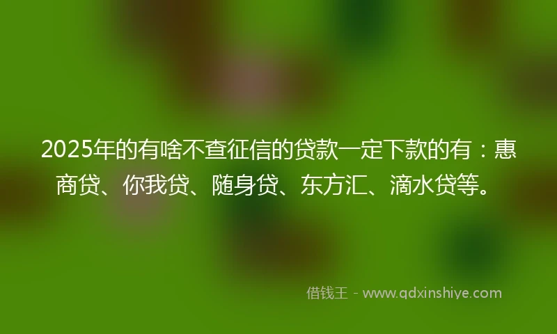 2025年的有啥不查征信的贷款一定下款的有：惠商贷、你我贷、随身贷、东方汇、滴水贷等。