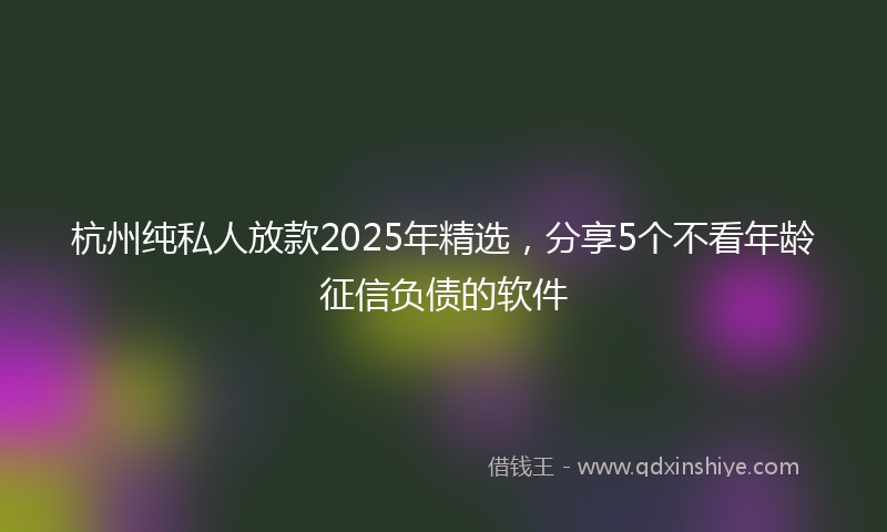 杭州纯私人放款2025年精选，分享5个不看年龄征信负债的软件