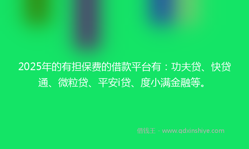 2025年的有担保费的借款平台有：功夫贷、快贷通、微粒贷、平安i贷、度小满金融等。