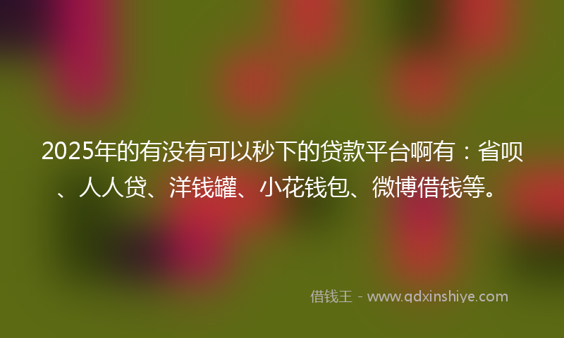 2025年的有没有可以秒下的贷款平台啊有：省呗、人人贷、洋钱罐、小花钱包、微博借钱等。
