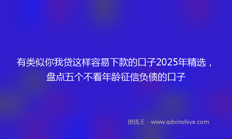 有类似你我贷这样容易下款的口子2025年精选，盘点五个不看年龄征信负债的口子