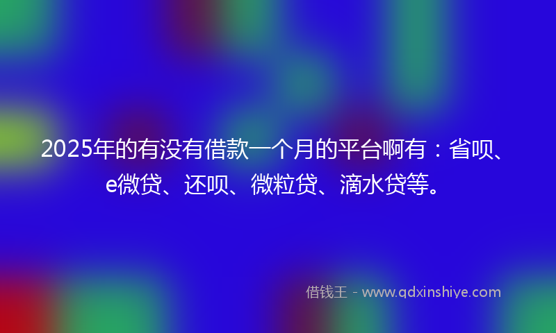 2025年的有没有借款一个月的平台啊有：省呗、e微贷、还呗、微粒贷、滴水贷等。