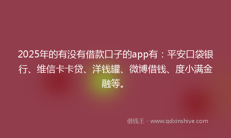 2025年的有没有借款口子的app有：平安口袋银行、维信卡卡贷、洋钱罐、微博借钱、度小满金融等。