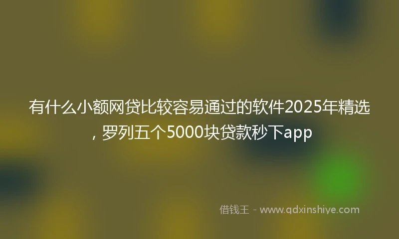 有什么小额网贷比较容易通过的软件2025年精选，罗列五个5000块贷款秒下app