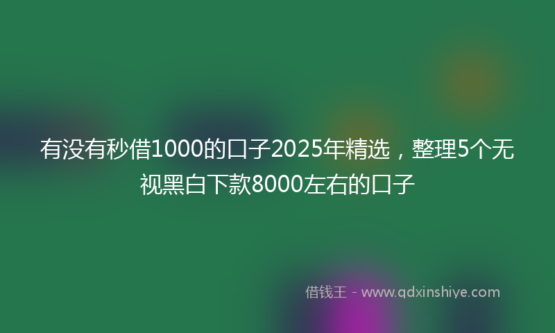 有没有秒借1000的口子2025年精选，整理5个无视黑白下款8000左右的口子