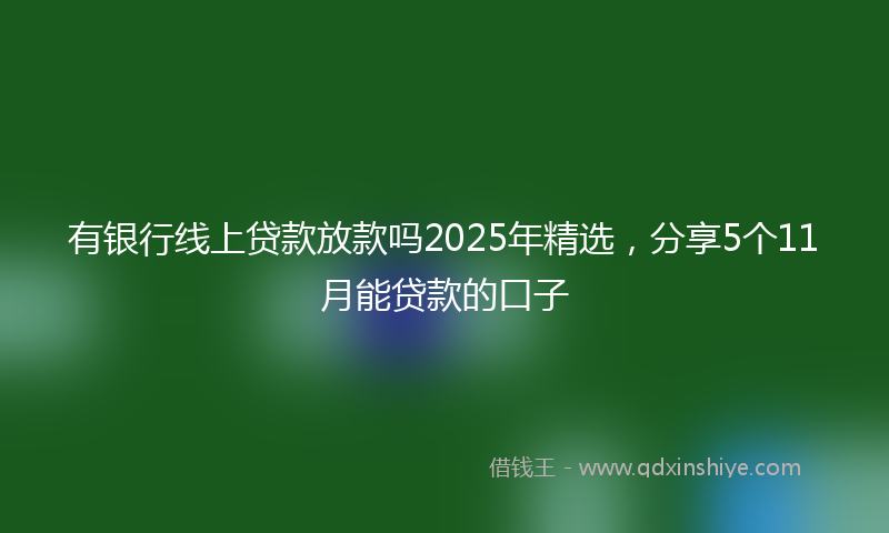 有银行线上贷款放款吗2025年精选，分享5个11月能贷款的口子