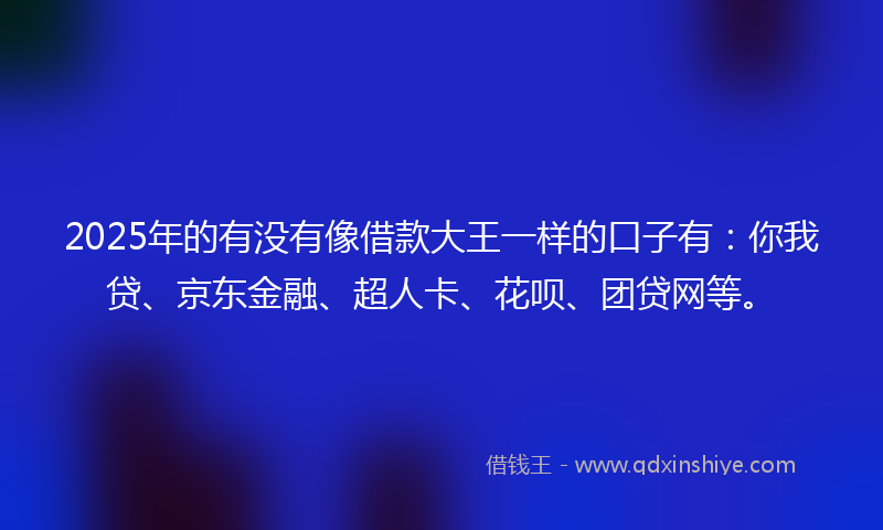 2025年的有没有像借款大王一样的口子有：你我贷、京东金融、超人卡、花呗、团贷网等。