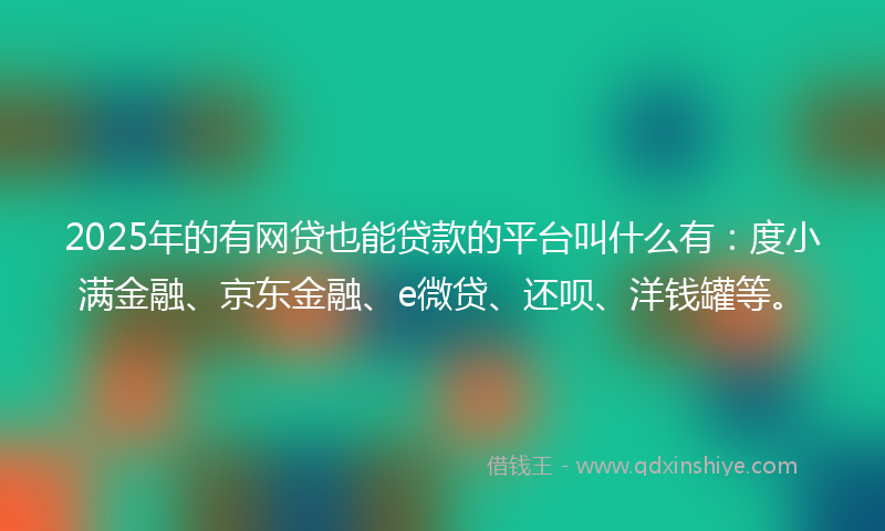 2025年的有网贷也能贷款的平台叫什么有：度小满金融、京东金融、e微贷、还呗、洋钱罐等。