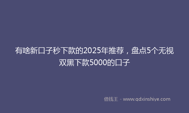 有啥新口子秒下款的2025年推荐，盘点5个无视双黑下款5000的口子