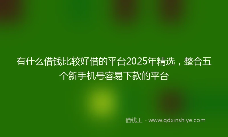有什么借钱比较好借的平台2025年精选，整合五个新手机号容易下款的平台