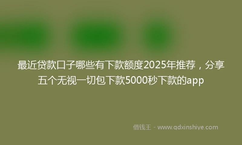 最近贷款口子哪些有下款额度2025年推荐,分享五个无视一切包下款5000秒下款的app