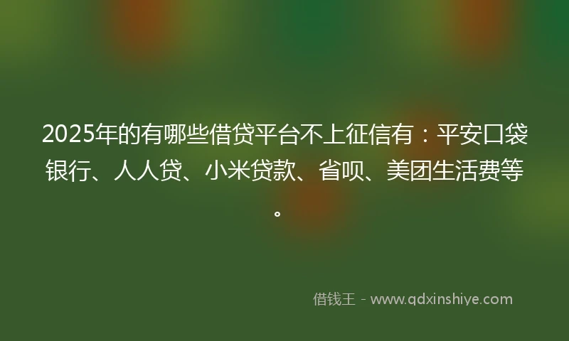 2025年的有哪些借贷平台不上征信有：平安口袋银行、人人贷、小米贷款、省呗、美团生活费等。