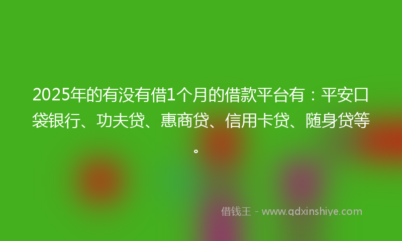 2025年的有没有借1个月的借款平台有：平安口袋银行、功夫贷、惠商贷、信用卡贷、随身贷等。