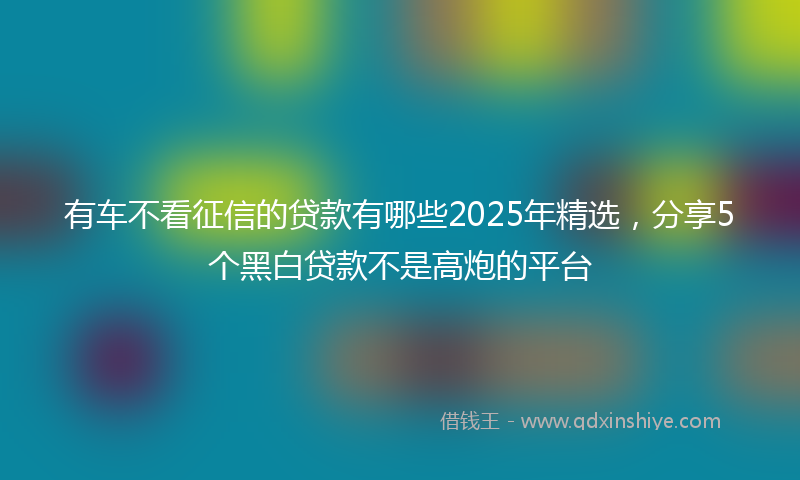 有车不看征信的贷款有哪些2025年精选，分享5个黑白贷款不是高炮的平台