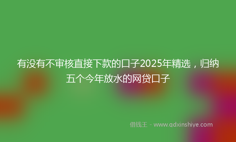 有没有不审核直接下款的口子2025年精选，归纳五个今年放水的网贷口子