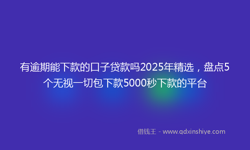 有逾期能下款的口子贷款吗2025年精选，盘点5个无视一切包下款5000秒下款的平台