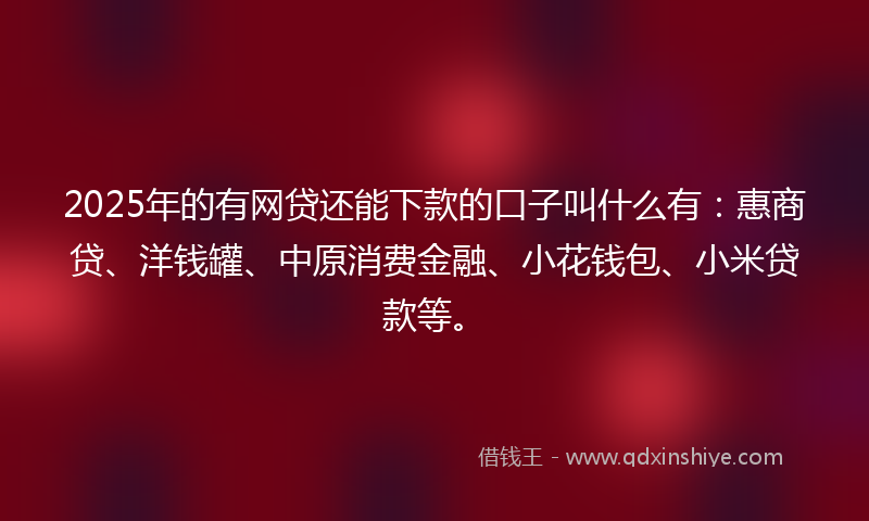 2025年的有网贷还能下款的口子叫什么有：惠商贷、洋钱罐、中原消费金融、小花钱包、小米贷款等。