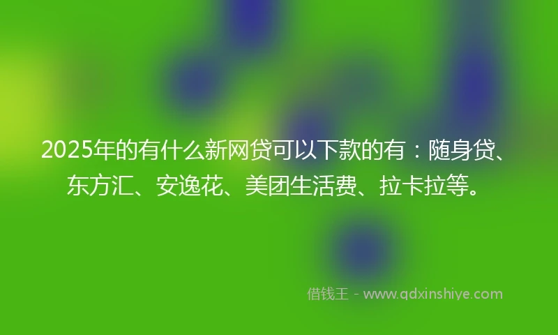 2025年的有什么新网贷可以下款的有:随身贷、东方汇、安逸花、美团生活费、拉卡拉等。