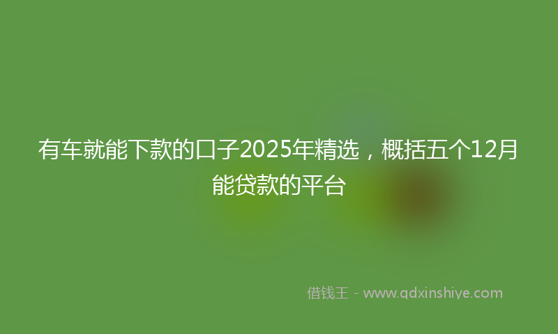 有车就能下款的口子2025年精选，概括五个12月能贷款的平台