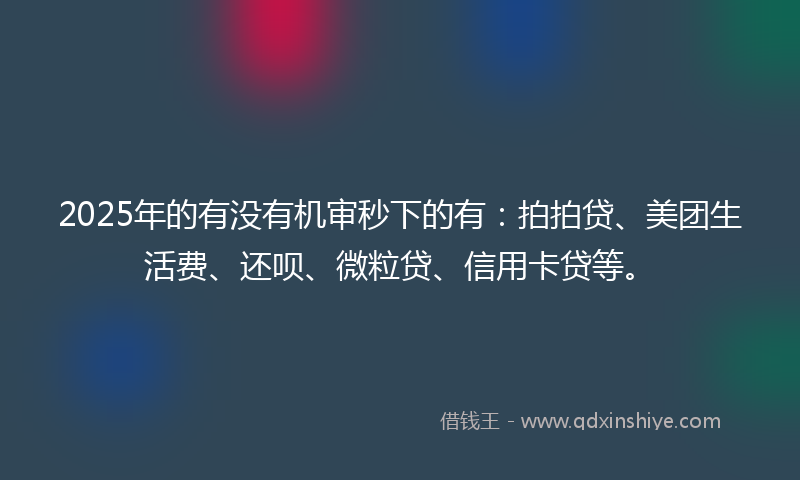 2025年的有没有机审秒下的有：拍拍贷、美团生活费、还呗、微粒贷、信用卡贷等。