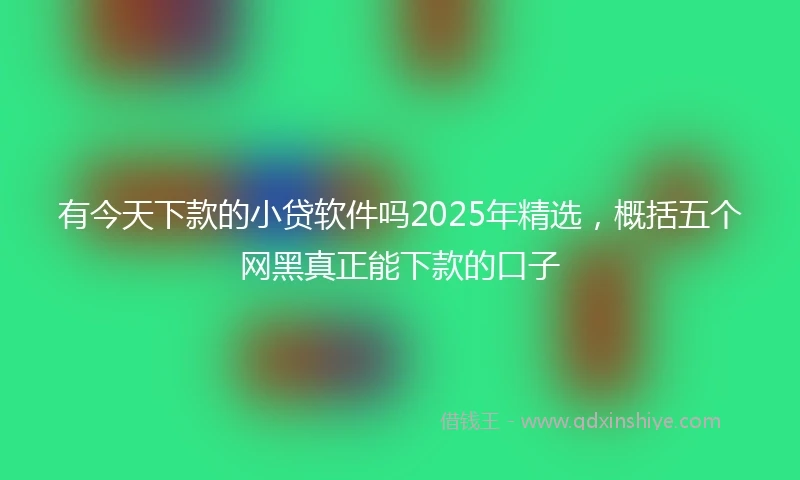 有今天下款的小贷软件吗2025年精选，概括五个网黑真正能下款的口子