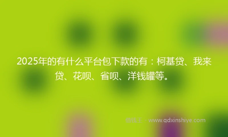 2025年的有什么平台包下款的有：柯基贷、我来贷、花呗、省呗、洋钱罐等。