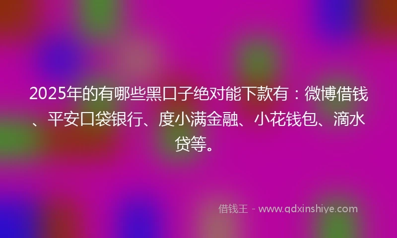 2025年的有哪些黑口子绝对能下款有：微博借钱、平安口袋银行、度小满金融、小花钱包、滴水贷等。
