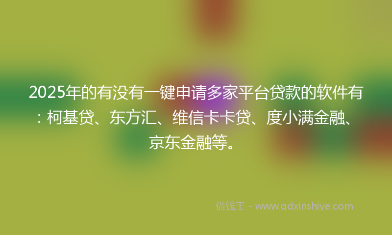 2025年的有没有一键申请多家平台贷款的软件有：柯基贷、东方汇、维信卡卡贷、度小满金融、京东金融等。