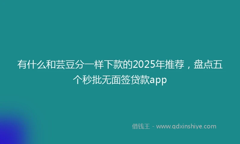 有什么和芸豆分一样下款的2025年推荐，盘点五个秒批无面签贷款app
